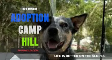 Adoption Camp Hill Costs: Understanding Fees and Expenses