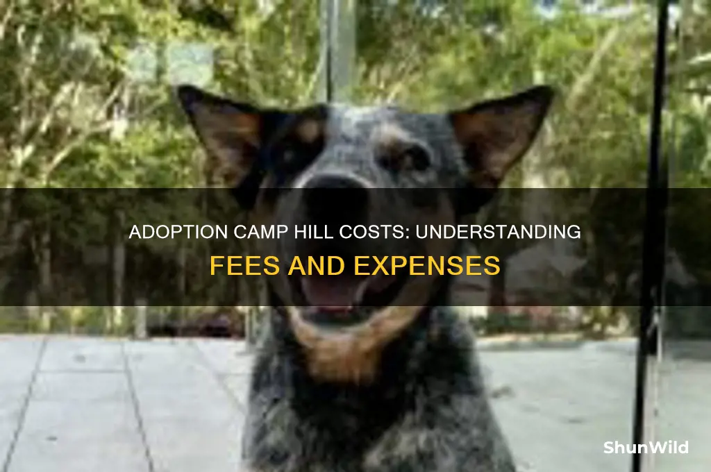 how much is adoption camp hill