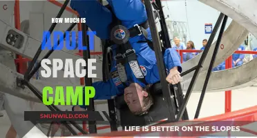 Adult Space Camp Costs: Exploring the Price of Your Cosmic Adventure