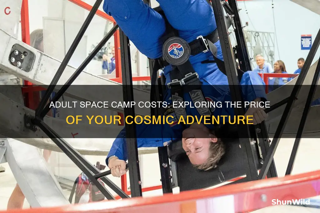 how much is adult space camp