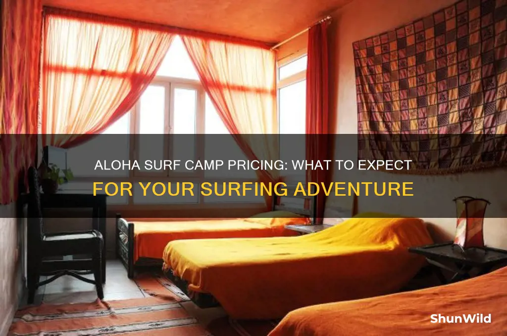 how much is aloha surf camp