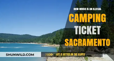 Sacramento Illegal Camping Fines: Costs and Consequences Explained