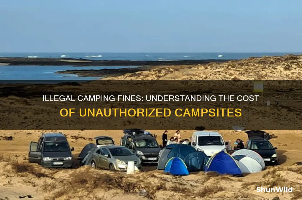 how much is an illegal camping ticket