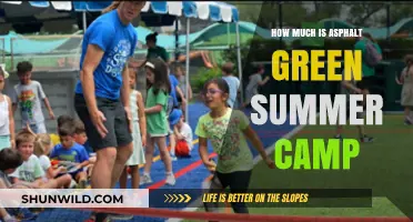 Asphalt Green Summer Camp Costs: Affordable Fun for Kids
