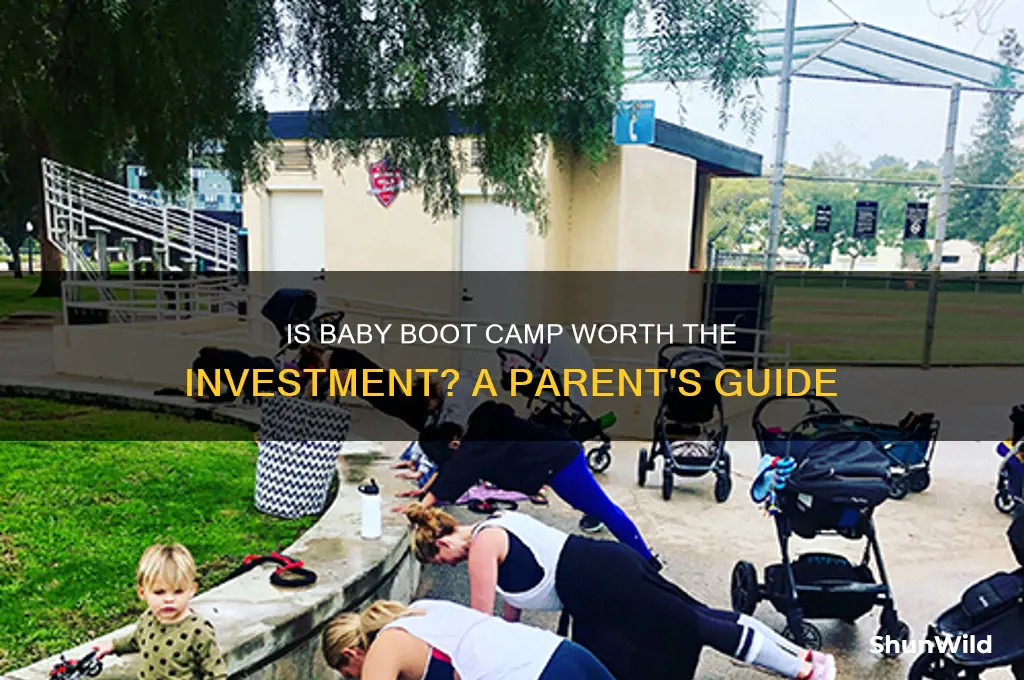 how much is baby boot camp worth