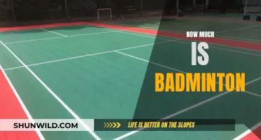 The Cost of Badminton: Expensive or Affordable?