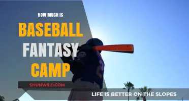 Exploring the Cost of Baseball Fantasy Camp: Is It Worth It?