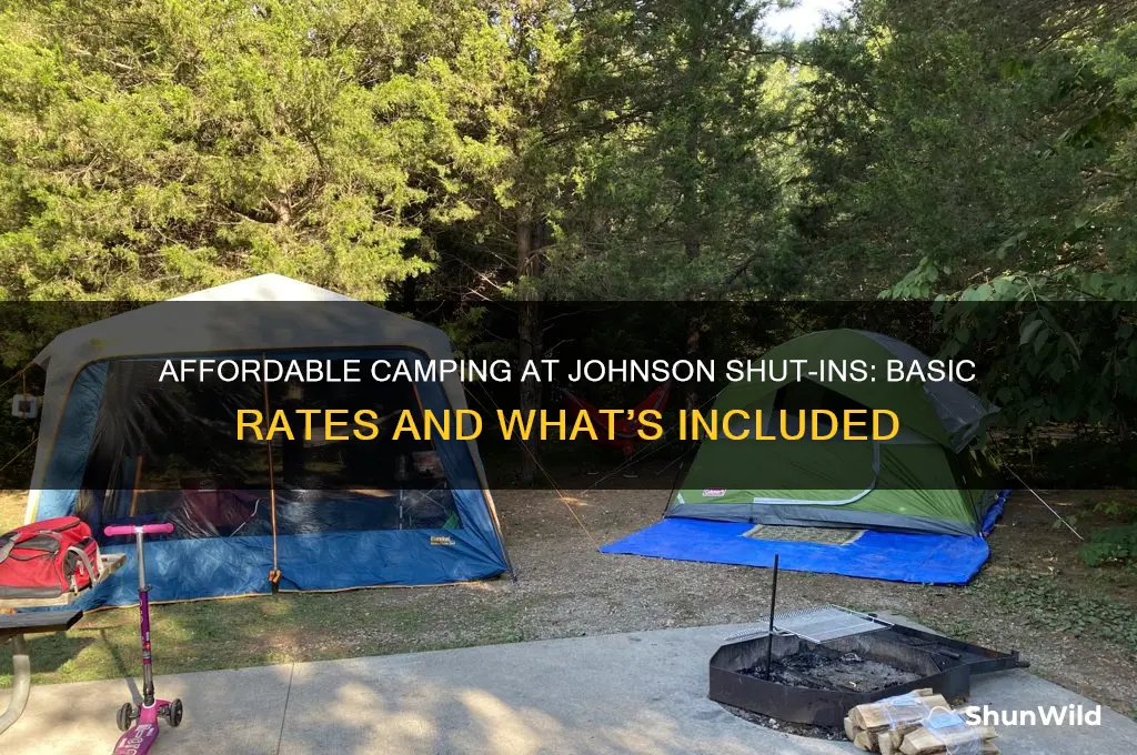 how much is basic camping at johnson shut ins