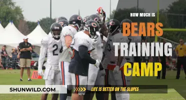 Bears Training Camp Costs: What Fans Need to Know