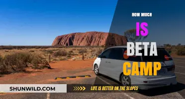Beta Camp Cost: Unveiling the Price Tag for Aspiring Entrepreneurs