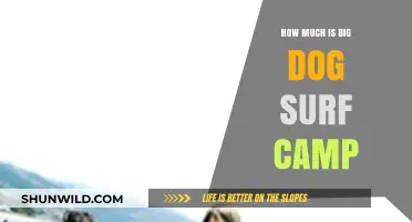 Big Dog Surf Camp Cost: Pricing Guide for Your Adventure