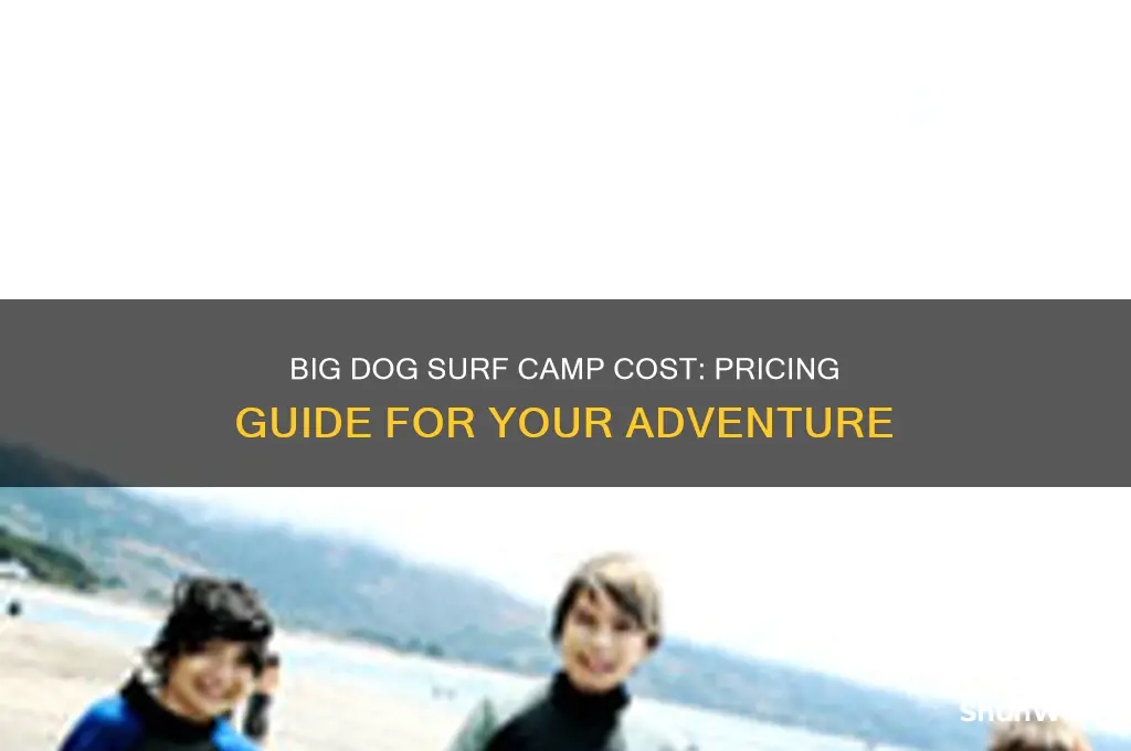 how much is big dog surf camp