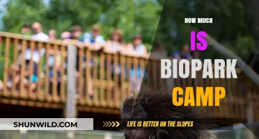 Biopark Camp Cost: Affordable Adventure or Pricey Getaway?