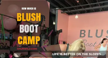 Blush Boot Camp Cost: Pricing Details and Value Breakdown