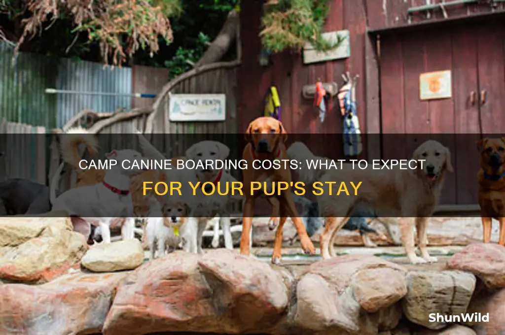 how much is boarding at camp canine