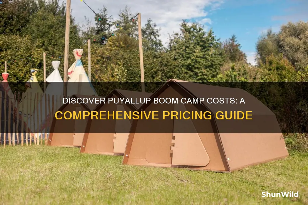 how much is boom camp puyallup