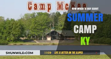 Boy Scout Summer Camp KY: Costs and Budgeting Tips