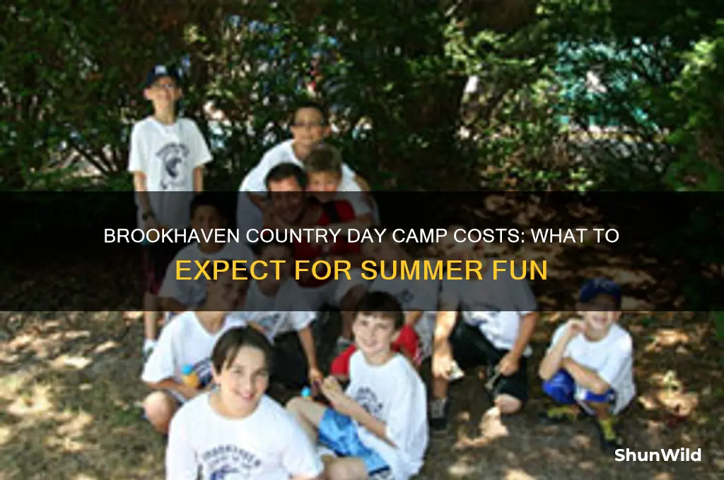 how much is brookhaven country day camp