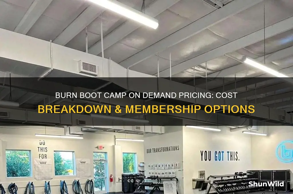 how much is burn boot camp on demand