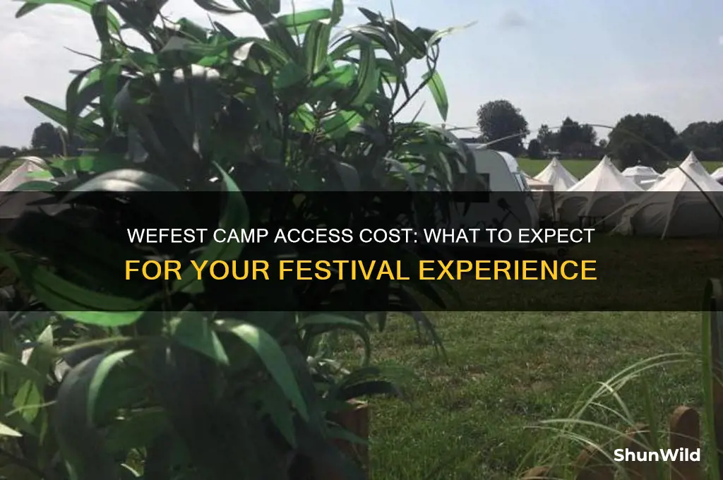 how much is camp access at wefest