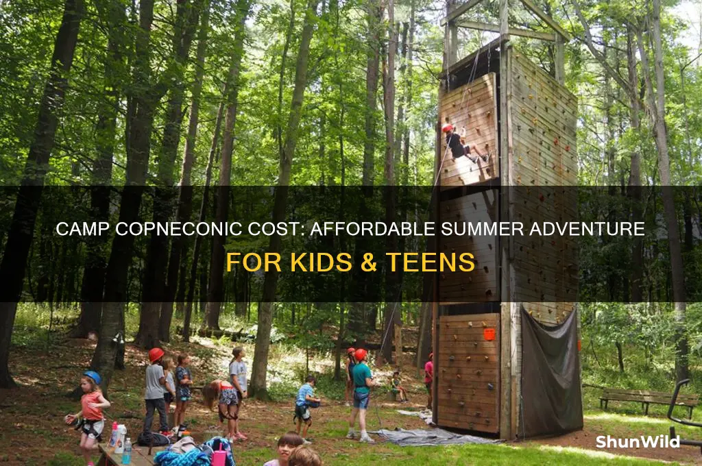how much is camp copneconic