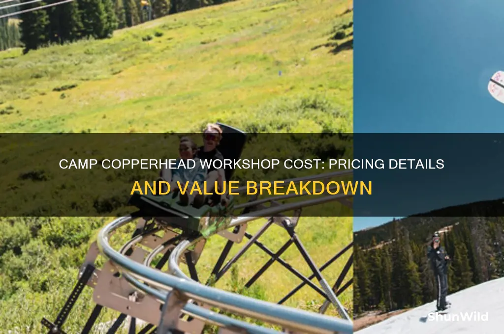 how much is camp copperhead workshop