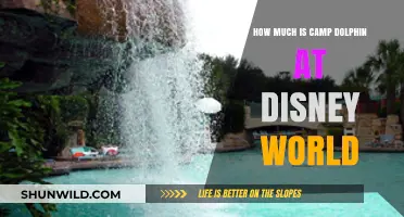 Camp Dolphin Disney World Cost: Your Ultimate Budget Guide