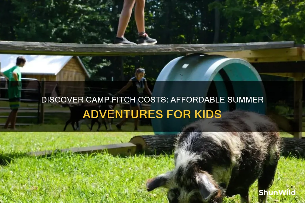 how much is camp fitch