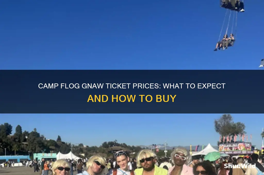 how much is camp flog gnaw tickets