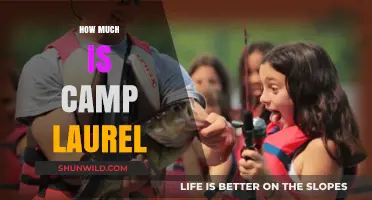 Camp Laurel Cost: Unveiling the Price Tag for Summer Adventures