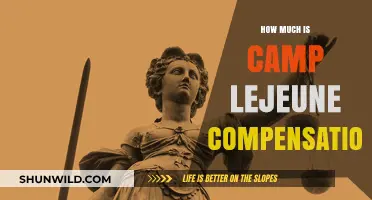 Understanding Camp Lejeune Compensation: How Much Can Victims Expect?