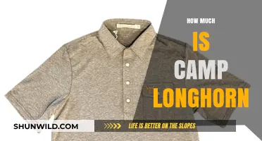 Camp Longhorn Cost: Unveiling the Price of Summer Adventure