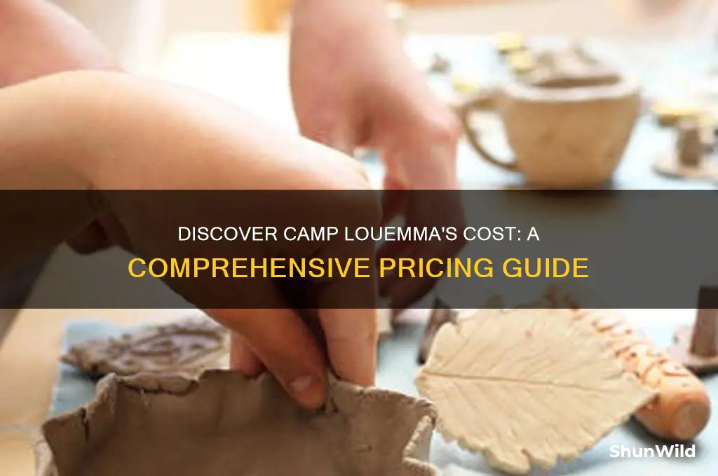 how much is camp louemma