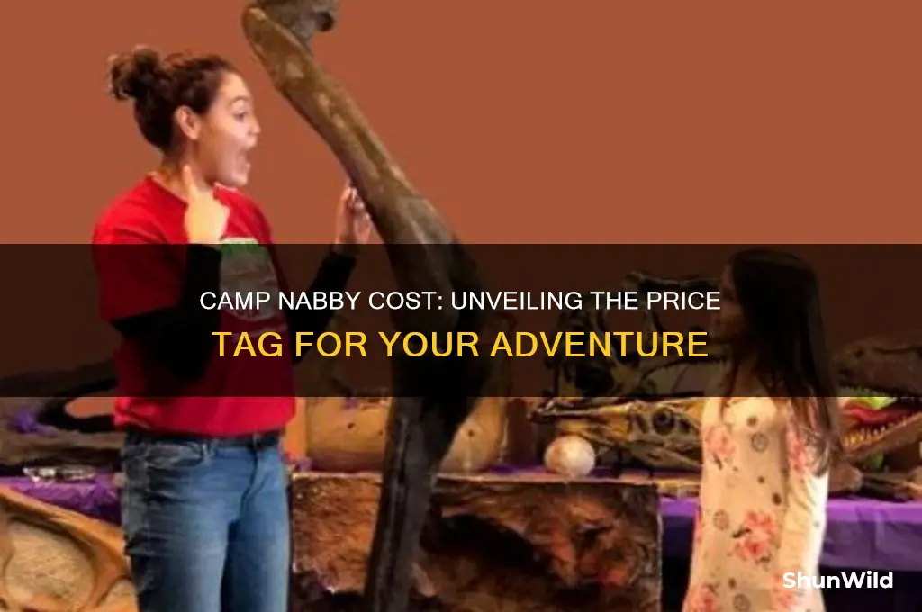 how much is camp nabby