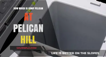 Camp Pelican at Pelican Hill: Pricing and Luxury Experience Guide