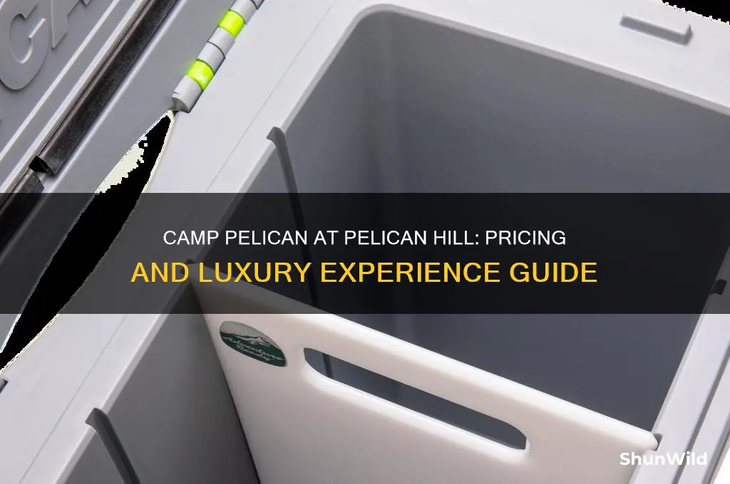 how much is camp pelican at pelican hill
