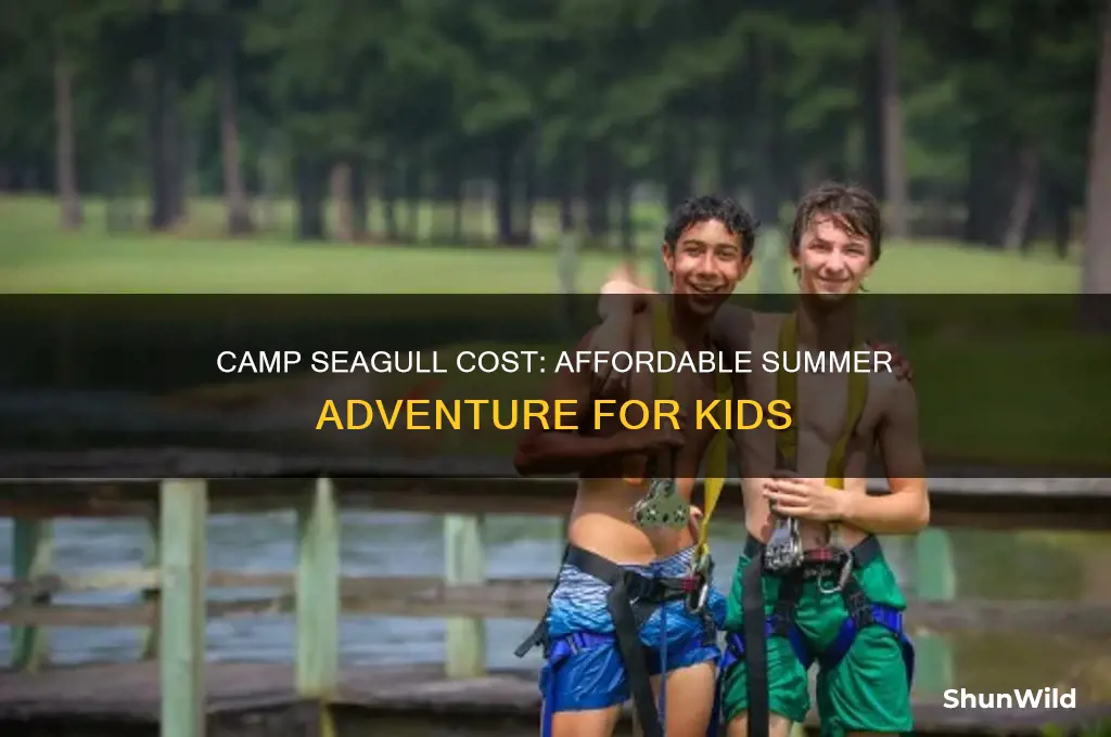 how much is camp seagull