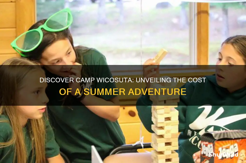 how much is camp wicosuta