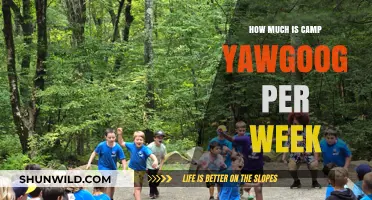 Camp Yawgoog Weekly Cost: Affordable Summer Adventure for Kids