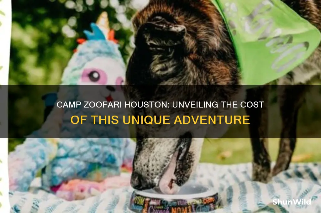 how much is camp zoofari houston