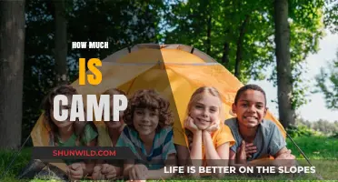 Discover the True Cost of Summer Camp for Your Kids