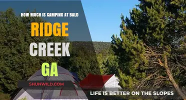 Camping Costs at Bald Ridge Creek, GA: What to Expect