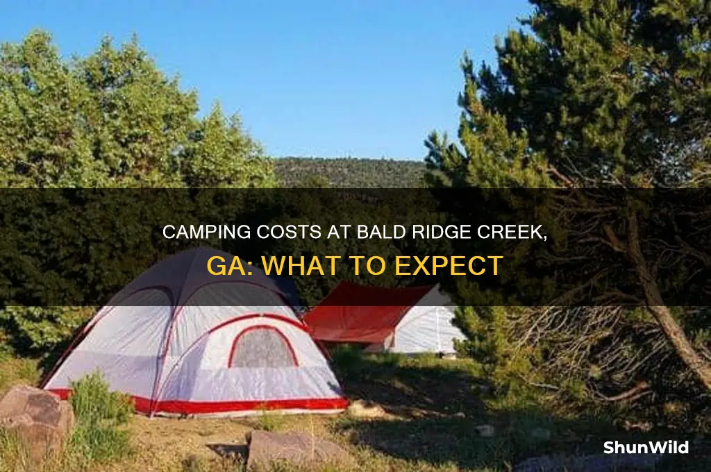 how much is camping at bald ridge creek ga