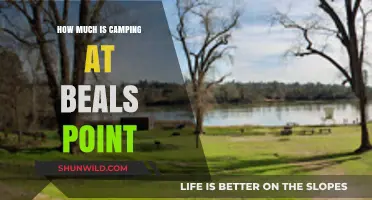 Camping at Beals Point: Cost, Amenities, and Planning Tips