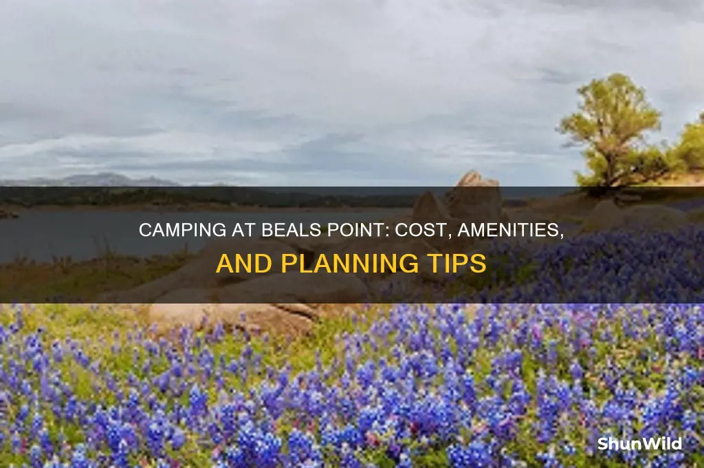 how much is camping at beals point
