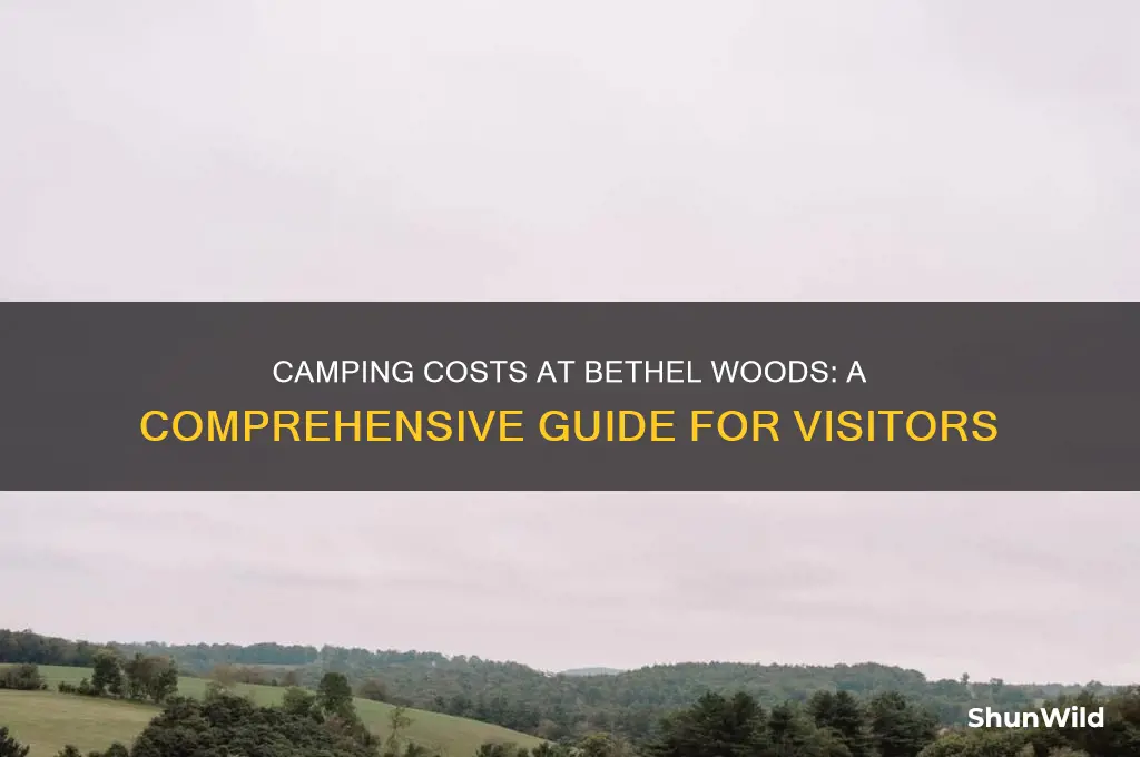 how much is camping at bethel woods