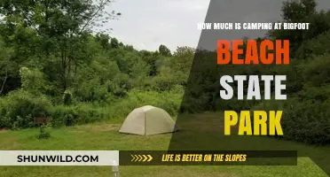 Camping Costs at Bigfoot Beach State Park: What to Expect