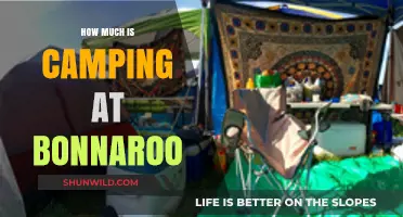 Camping at Bonnaroo: Costs, Tips, and What to Expect