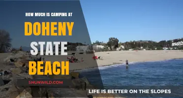 Camping Costs at Doheny State Beach: What to Expect