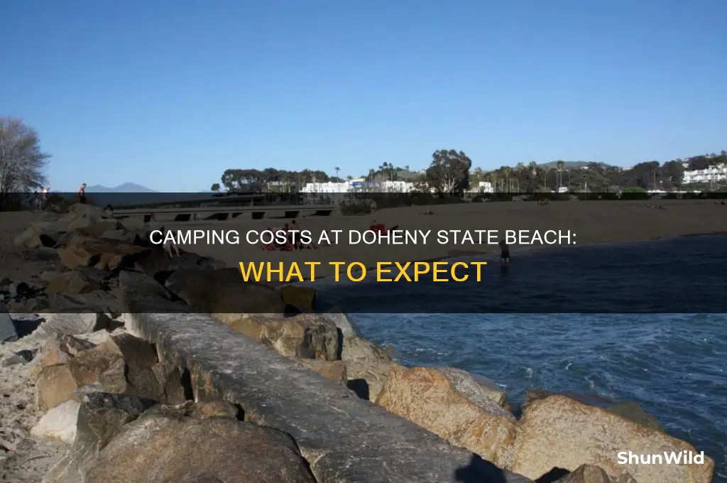 how much is camping at doheny state beach